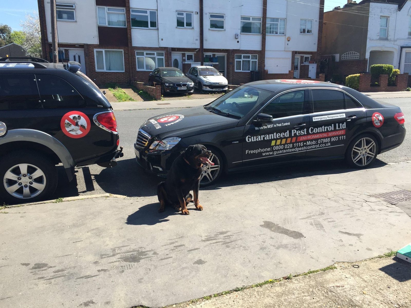 Rat and mouse control technician proofing a London home