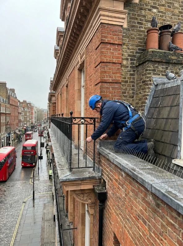 London pest control technician inspecting a kitchen