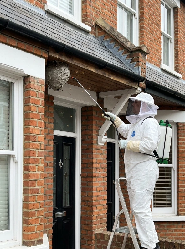 London pest control technician inspecting a kitchen